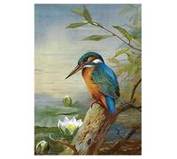 ZMHZMY Oil Painting Kit for Beginner Digital Painting Bird Kingfisher Bluebird Paint by Numbers for Adults Beginner Kids Arts Craft for Decoration