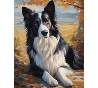 ZMHZMY Paint by Number Border Collie,Landscape DIY Oil Painting Paint by Number Kit for Adults DIY Canvas Acrylic Painting by Numbers Painting Arts Craft for Home Decor
