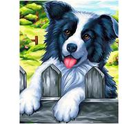 ZMHZMY Paint by Number for Adults - DIY Adult Paint by Number Kits On Canvas Border Collie Dog Paint by Numbers for Adults Beginner Crafts Home Decor 40x50cm