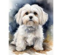 ZMHZMY Paint by Number Gift Set,Maltese Dog,Digital Painting Art,The Perfect Present,Artwork to Share with Your Family,40x50cm