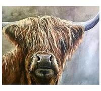 ZMHZMY Paint by Numbers for Adults Kits Cattle Highland Cow Animal DIY Acrylic Oil Painting Kit for Adult Beginner on Canvas 16"x 20"