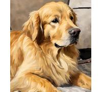 ZMHZMY Paint by Numbers for Teens Paint by Numbers Kits Animal Dog Golden Retriever Art Oil Painting The Family Decorates Wall Decoration Unique Gift 40x50cm