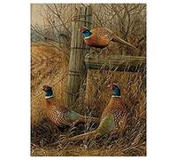 ZMHZMY Paint by Numbers Pheasant Painting by Number for Adults DIY Digital Painting for Beginners, Wall Decor Drawing Gift