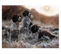 ZMHZMY Paint by Numbers Springer Spaniel Dog Animal Painting Number for Adults DIY Digital Beginners, Wall Decor Drawing Gift, 40x50cm Frameless