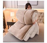 ZMIN Winter Quilt Super Warm Lamb Double-Sided Velvet Thickened Comforter 220x240cm (5kg)