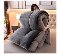 ZMIN Super Warm Lamb Quilt Winter Blanket 2-5 Kg Double-Sided Velvet Quilt Thickened Warm Autumn Spring Plush Comforter Core, Winter Quilt Full Size,B,220x240cm(5kg)