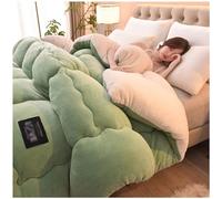 ZMIN Super Warm Lamb Quilt Winter Blanket Double-Sided Fleece Quilt Thickened Warm Plush Comforter Solid Color Down Duvet, Machine Washable,C,150x200cm(3.5kg)