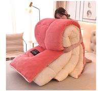 ZMIN Super Warm Lamb Quilt Winter Blanket Double-Sided Fleece Quilt Thickened Warm Plush Comforter Solid Color Down Duvet, Machine Washable,E,220x240cm(5kg)