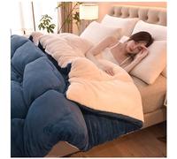 ZMIN Super Warm Lamb Quilt Winter Blanket Double-Sided Fleece Quilt Thickened Warm Plush Comforter Solid Color Down Duvet, Machine Washable,B,180x220cm(4kg)