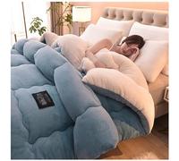 ZMIN Super Warm Lamb Quilt Winter Blanket Double-Sided Fleece Quilt Thickened Warm Plush Comforter Solid Color Down Duvet, Machine Washable,D,220x240cm(5kg)