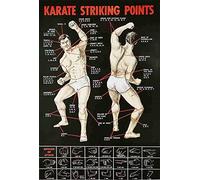 ZMKDLL Karate Striking Points Teaching Guidence,Shabby Rustic Home Kitchen Dining Room Bathroom Laundry Bar Tin Sign Metal Poster