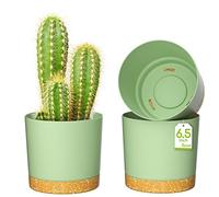 ZMTECH 16.5cm Plant Pots, Modern Planters with Drainage Holes and Detachable Saucer, Plastic Flower Pots for Plants for House Garden Windowsill (Set of 3, Green)