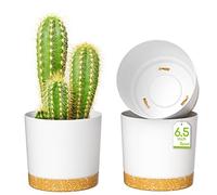 ZMTECH 16.5cm Plant Pots, Modern Planters with Drainage Holes and Detachable Saucer, Plastic Flower Pots for Plants for House Garden Windowsill (Set of 3, White)