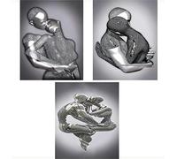 ZMURED 3D Wall Art Decor Artwork Figure Statue Modern Art Canvas Painting,Large Wall Art for Bathroom Bedroom Decoration (3PC Hug Kiss)