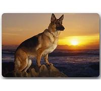 ZMvise Flannel Carpet Cute Pet German Shepherd Dog Pictures Non Slip Rubber Backing Indoor Outdoor Doormat Door Mats Kitchen Decor Floor Mats Rugs 15.7x 23.6inch