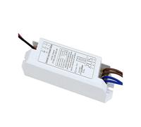 ZMZYELPECB Universal Electronic Ballasts For UV Lamp Tube 4-18W 24W 36W 55W Ultraviolet Germicidal Lamp UVC Sterilizing Lights AC220V(24W)