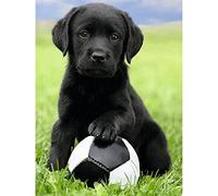 Znnhtyj 5D DIY Diamond Painting Kit, Labrador Dog & Football Diamond Art, Round Drill, Modern Style, Not Foldable, Perfect for Adults & Kids, Sports & Pets Theme, 20x40cm/8x16inch