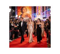 ZNQNDSR Red Carpet Runner Non-Woven Fabric Wedding Aisle Rug for Stairs Aisles Banquets & Lunar New Year Celebrations(3.3x32.8ft)