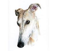 znwrr 5D DIY Diamond Art Painting Kits Adults Colorful Greyhound Pet Dog Animal Diamond Art Painting Kit On 30x40cm