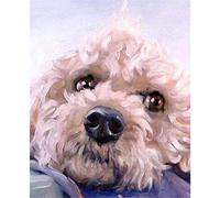 znwrr Diamond Painting 5D Diamond Painting for Adults Cute Poodle Rhinestone Diamond Embroidery Painting 40x40cm