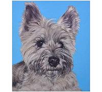 znwrr Diamond Painting Diamond Painting Kits Kids Beginner Embroidery Set Wall Sticker Poster Art Cairn Terrier Dog Farmhouse Farm Decoration 30x40cm