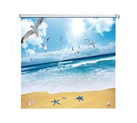 ZOAPDEBCE Portable Blackout Blind， Beach Pattern Roller Blinds, 60Cm/80Cm/100Cm/120Cm/140Cm Wide Window Roller Shades(140x100cm)