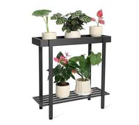 Zoapion 2 Tier Metal Plant Stand,Indoor Outdoor Plant Table Display,Black | Slim 66 x 22 x 62 cm Shelf with Two Levels,Raised Tray,Drainage Holes,Adjustable Feet and a Sturdy Steel Frame