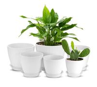 Zocipro 6Pcs Plastic Plant Pot Indoor, Stripe Grooves Flower Pot 17.5/15.5/14/12.5/11.5/10cm with Saucer and Drainage Hole, Decorative Plant Planter Container for Balcony Bonsai Plants