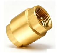 Zocipro Check Valve 1 1/4 Inch Female Thread - Stainless Steel Backflow Preventer with Internal Thread - Gravity Brake for Water Pipes - Corrosion Resistant Check Valve for Water & Pump Systems