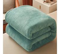 ZOCIS Fleece Throw Blanket - Double Sided Fluffy Warm Cozy Bed Blanket - Plush Fuzzy Lightweight Throws - Soft Blanket for Sofa Couch Travel Settees All Season,100x120cm,Green