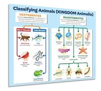 ZOCO - Animal Kingdom Classification Poster - Biology & Zoology Chart of Vertebrates and Invertebrates - Laminated 17x22 - Middle & High School Science Decor