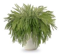 ZOCOYUU 30pcs Christmas Norfolk Pine Branches, Christmas Greenery Stems, 37cm Faux Evergreen Norfolk Pine Leaf Stems, Fake Foliage Needle Picks for DIY Craft Garland Home Decor