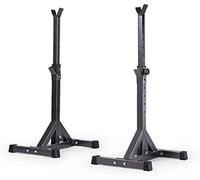 ZOCWJK Squat Stand Dipping Station Gym Weight Bench Press Stand Adjustable Squat Rack Bench Press Weight Stand, Barbell Rack Bench Press Rack Weight Training Equipment Home Fitness Equipment