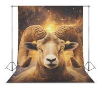 Zodiac A-ries Photo Backdrop Polyethylene Studio Background for Photography Video Broadcast Photoshoot