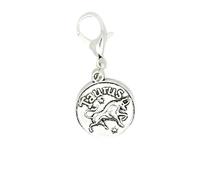 Zodiac Constellation 12 Signs Circle Tibetan Silver Clip On Lobster Clasp Charm (Taurus)