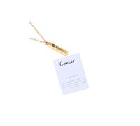 Zodiac Signs Spirit Necklace Adjustable 12 Constellation Necklace Zodiac Stainless Steel Pendant Necklace Zodiac Sign Geometric Column Pendant Necklace Birthday Jewelry Gifts for Women Men, Stainless