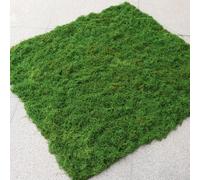 Zoegneer Artificial Moss Mat Green Polyester Simulation Filamentous Lawn for Garden Decoration Landscape Models Plant Walls Terrariums Potted Arrangements Home or Office Decor (dark green)