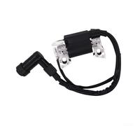 Zoegneer Ignition Coil Assy 30500-Z07-023 For Honda EB2000I EB2000IT1 EU2000I EU2000IK1 EU2000IT1 Generator Direct Replacement Plastic Construction Easy Install No Programming Re
