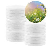 ZOENHOU 20 PCS 2.5 Inch White Round Painting Pebbles, Large Smooth Pebbles for Painting, Flat Stones for Painting Mandala and Kindness Rocks, Arts and Crafts