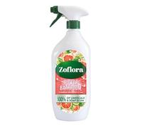 Zoflora Caribbean Grapefruit & Lime Power Bathroom Cleaner, 1 x 800ml, Removes up to 100% of Limescale and Soap Scum, Leaves surfaces streak-free and sparkling