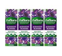 Zoflora Midnight Blooms Concentrated Disinfectant 250ml Assorted Packs