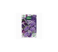 Zoflora Midnight Blooms Rim Blocks 2 x 48g Pack Continuous Freshness Odour Control LongLasting Scent Kills 999 of Bacteria
