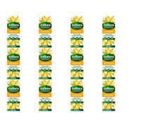 Zoflora Multi-Purpose Concentrated - Springtime, 500ml (Pack of 12)
