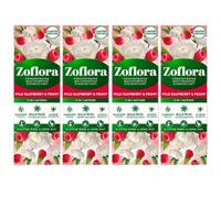 Zoflora Raspberry And Peony Concentrated Fragrance 250Ml Multi Surface Cleaner