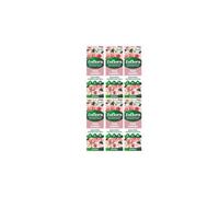 Zoflora Rose Garden Concentrated Disinfectant 6 Pack 250Ml Multi Surface Cleaner