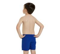 Zoggs Pacific E Swimming Shorts
