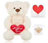 Zomiboo I Love You White Bear Holding Red Heart 8.7" Valentine's Day I Love You Gifts for Him and Her Stuffed Animal Soft Toys with Greeting Card Hug Plaque Sign Bag for Valentine's Day Gift