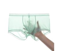 ZONBAILON Breathable Ice Silk Men's Boxer Briefs See-Through Underwear Trunk Transparent Stretch, 1 Pack：green, XL