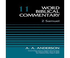 Zondervan The 2 Samuel, Volume 11: 11 Hardcover Book Zondervan Multicolor