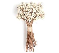 Zonster 20 Pcs/set Natural Cotton Balls Dried Flower Plants Dry Real White Fruit Bunch Party Decorative Flowers Diy Wedding Decoration